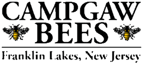 logo main
